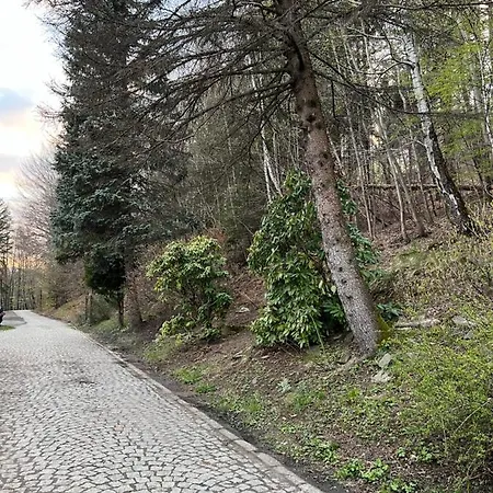 92 Def Apartament Ustroń