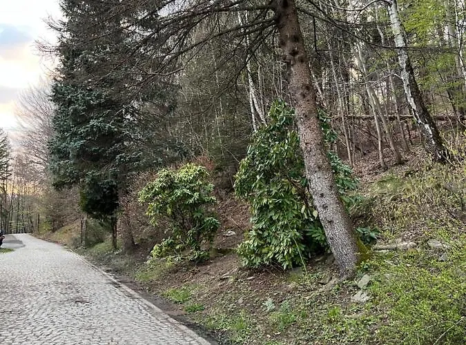 92 Def Apartamento Ustroń