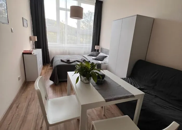 Apartment 92 Def Ustron